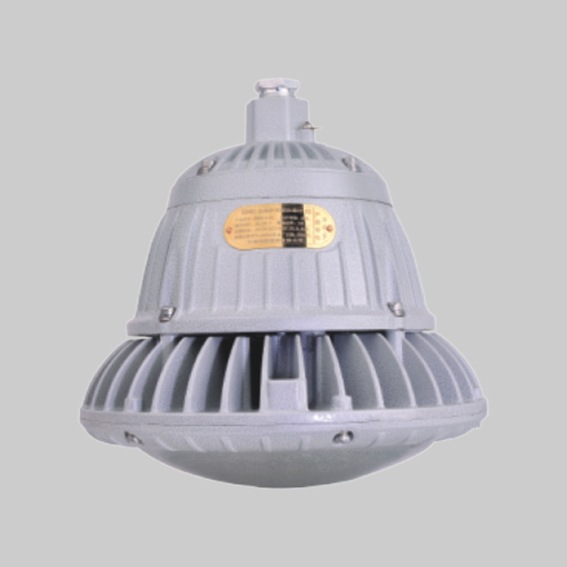 人民電器，人民電器集團，人民電器集團有限公司，中國人民電器，RDB98-F防爆免維護節(jié)能燈(LED)