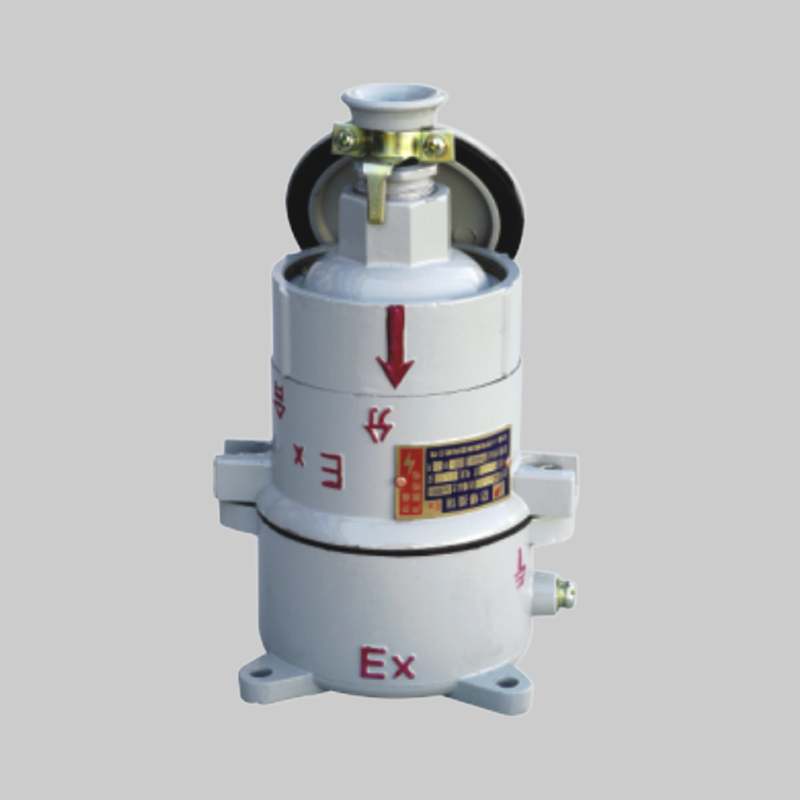 人民電器，人民電器集團，人民電器集團有限公司，中國人民電器，BCX53系列防爆插銷（ⅡB）