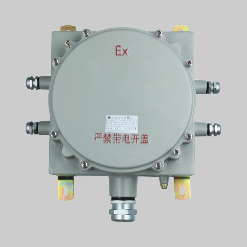 人民電器，人民電器集團，人民電器集團有限公司，中國人民電器，BXJ系列防爆接線箱（DIP A20)