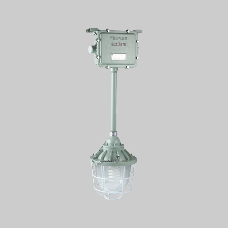 人民電器，人民電器集團(tuán)，人民電器集團(tuán)有限公司，中國人民電器，BAJ-DIP系列粉塵防爆照明應(yīng)急燈(DIP)