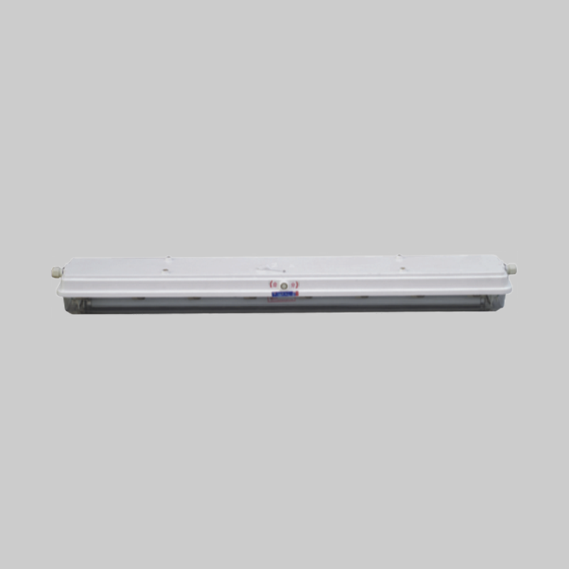 人民電器，人民電器集團(tuán)，人民電器集團(tuán)有限公司，中國(guó)人民電器，BAY-DIP系列粉塵防爆防腐熒光燈(DIP）