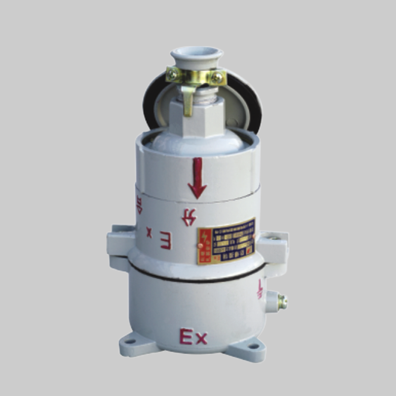 人民電器，人民電器集團(tuán)，人民電器集團(tuán)有限公司，中國人民電器，BCX-DIP系列粉塵防爆插銷(DIPA20)
