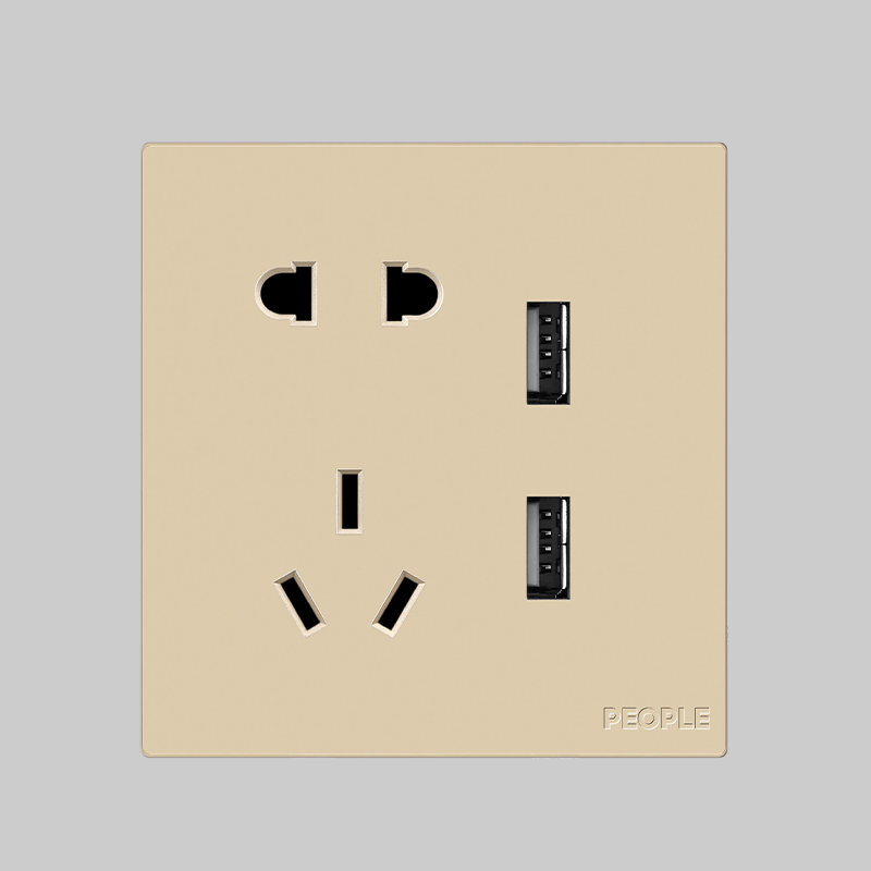 人民電器，人民電器集團，人民電器集團有限公司，中國人民電器，五孔帶?位USB插座(R86H6)