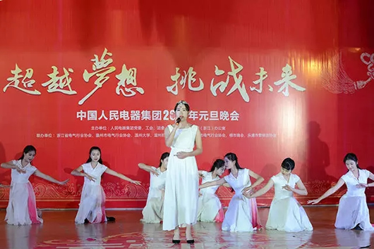 人民電器,人民電器集團,中國人民電器集團