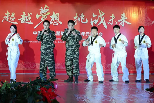 人民電器,人民電器集團,中國人民電器集團