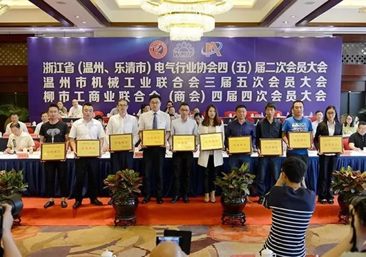 人民電器,人民電器集團(tuán),中國人民電器集團(tuán)