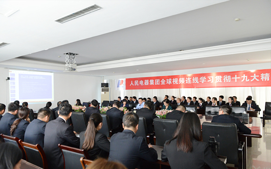 人民電器,人民電器集團,中國人民電器集團