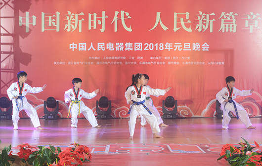 人民電器,人民電器集團,中國人民電器集團