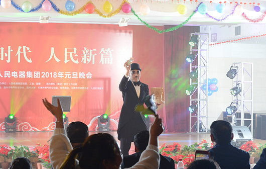 人民電器,人民電器集團,中國人民電器集團