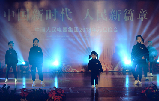 人民電器,人民電器集團,中國人民電器集團