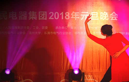 人民電器,人民電器集團,中國人民電器集團