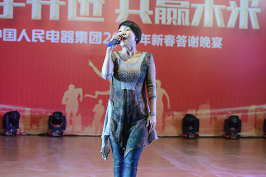 人民電器,人民電器集團,中國人民電器集團