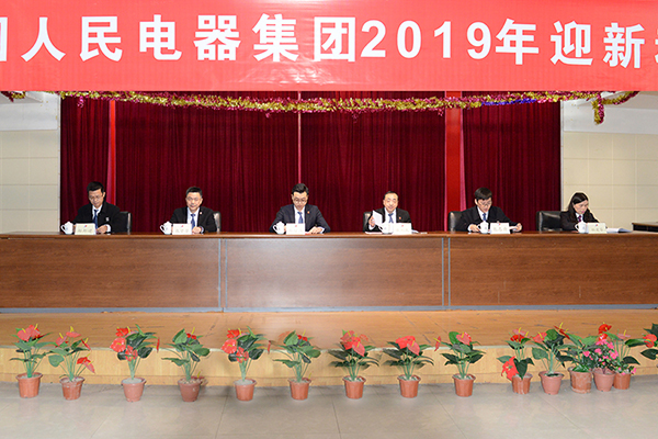 人民電器,人民電器集團,中國人民電器集團