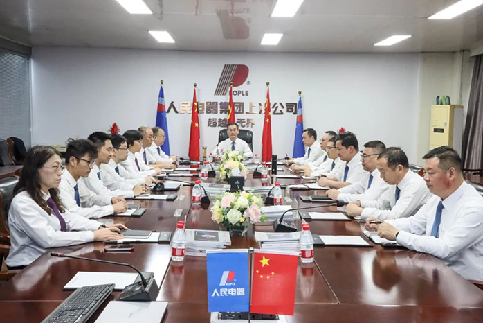 人民電器,人民電器集團,中國人民電器集團