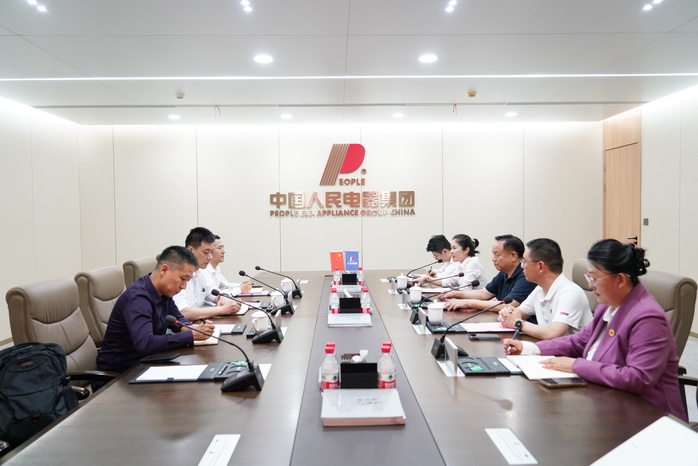 人民電器,人民電器集團,中國人民電器集團