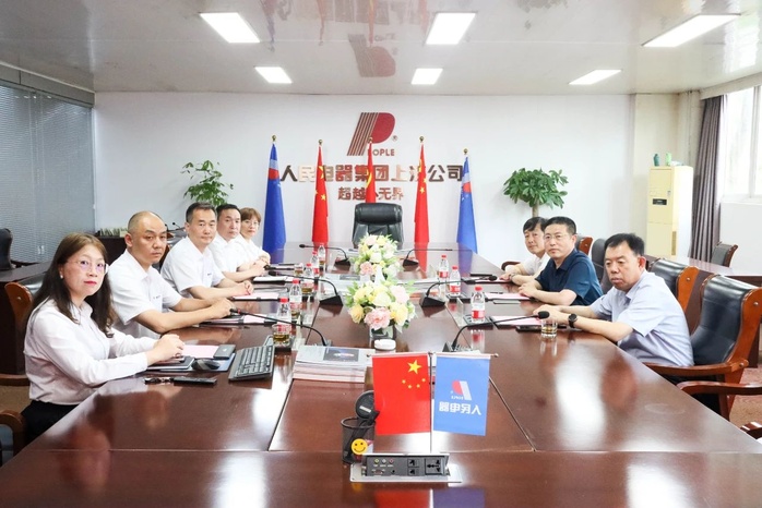 人民電器,人民電器集團,中國人民電器集團